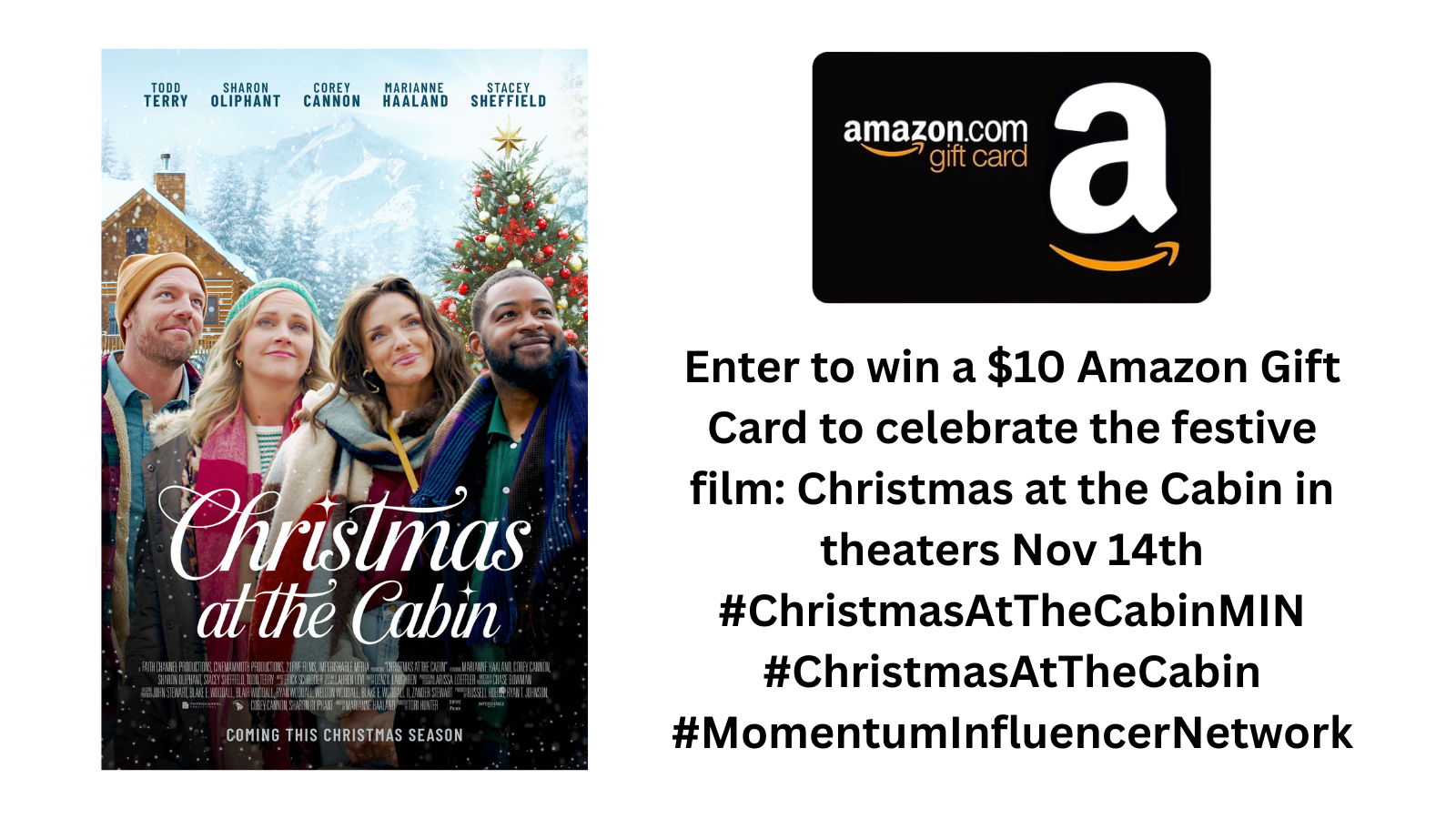 Christmas at the Cabin